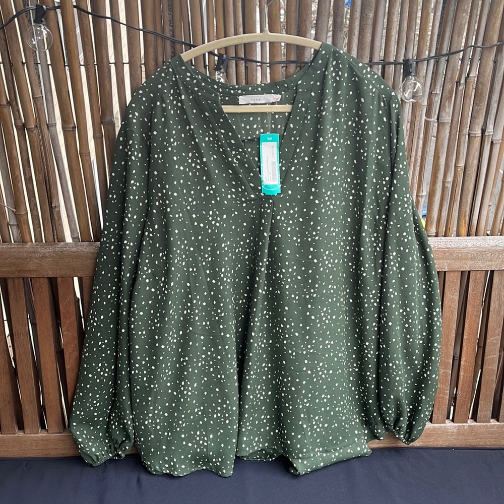 Gorgeous green blouse